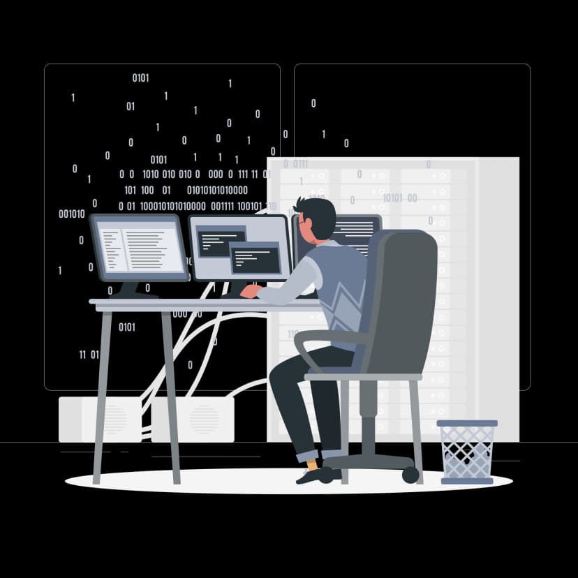 Programmer